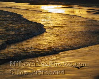 Photograph of Golden Waves from www.MilwaukeePhotos.com (C) Ian Pritchard